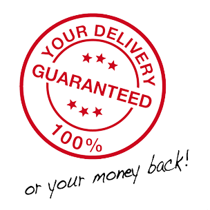 guaranteed_delivery-removebg-preview